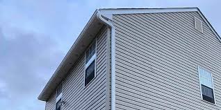 Best Custom Trim and Detailing for Siding  in Chlicothe, IL